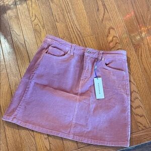 Madewell Mauve Mini Skirt